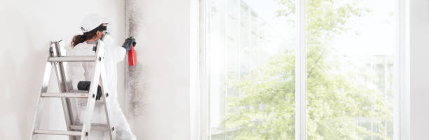 Best Mold Prevention Services  in Pepper Pike, OH
